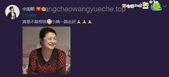 一开始，新旧项目启动情感对比：自豪与感动并存